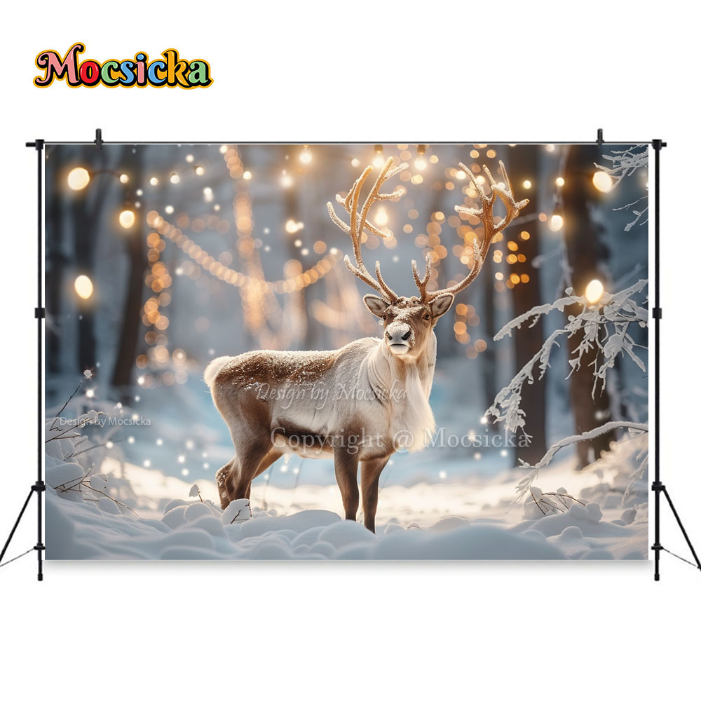Inverno neve scene fotografia  - Photography Natural Lighting recensione e prezzo
