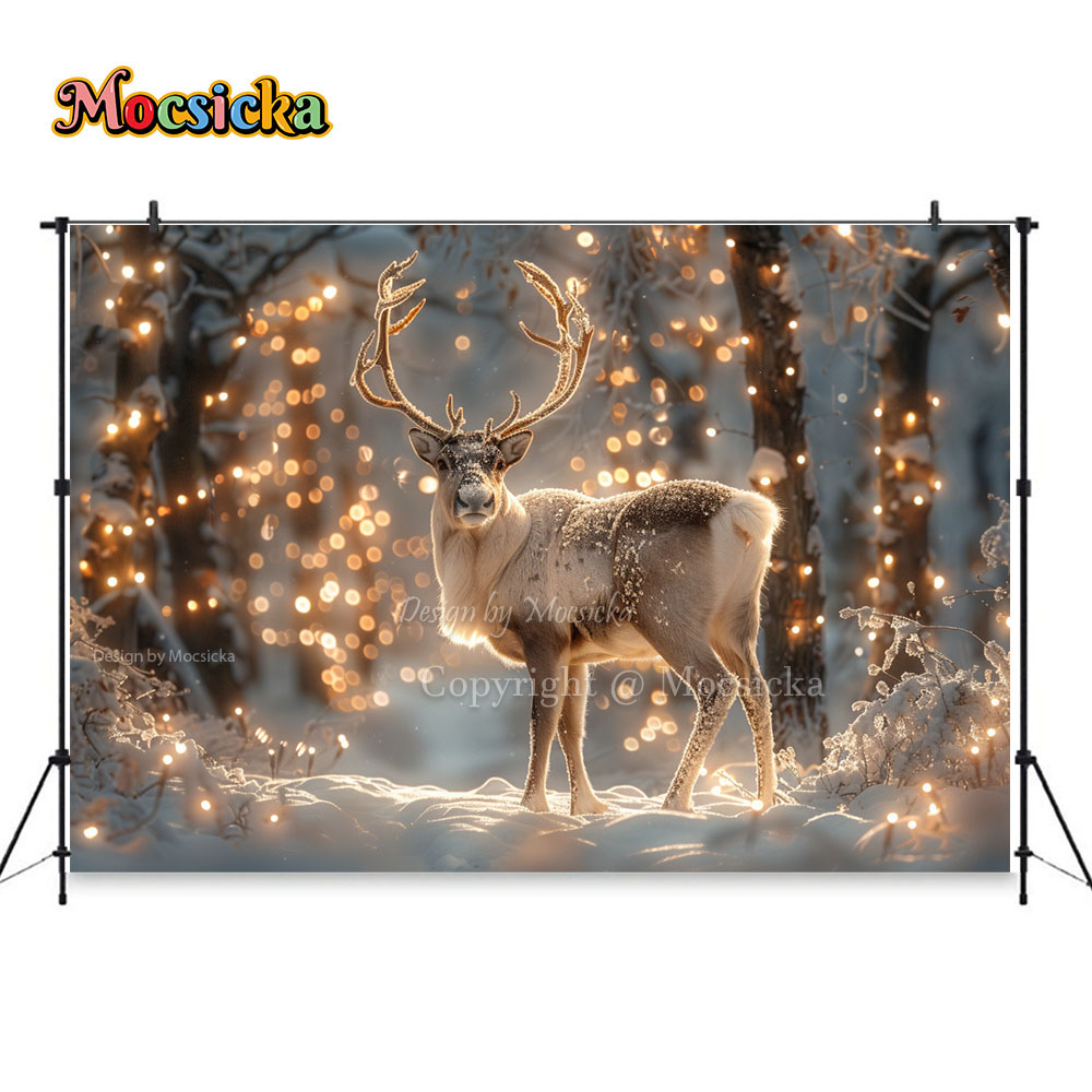 Inverno neve scene fotografia  - Photography Natural Lighting recensione e prezzo