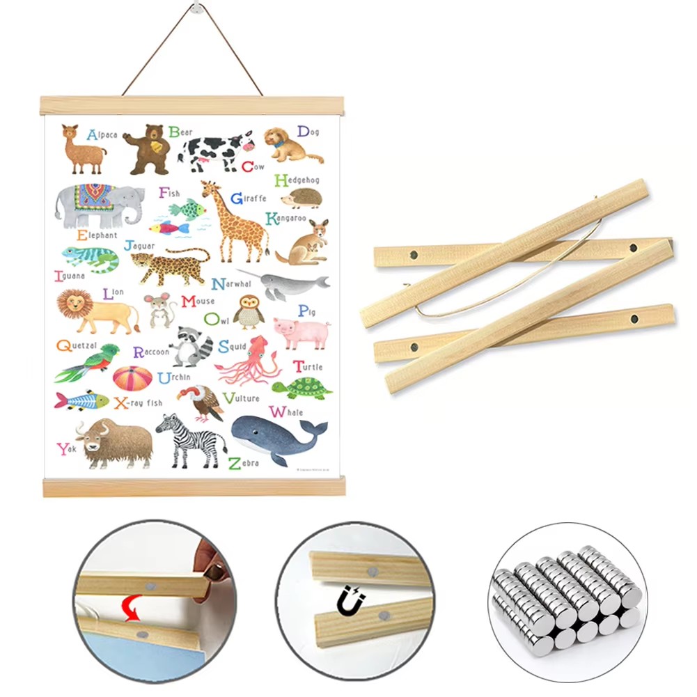 7 colori 30 40 50 cm Magnatic  - Photography Definition recensione e prezzo