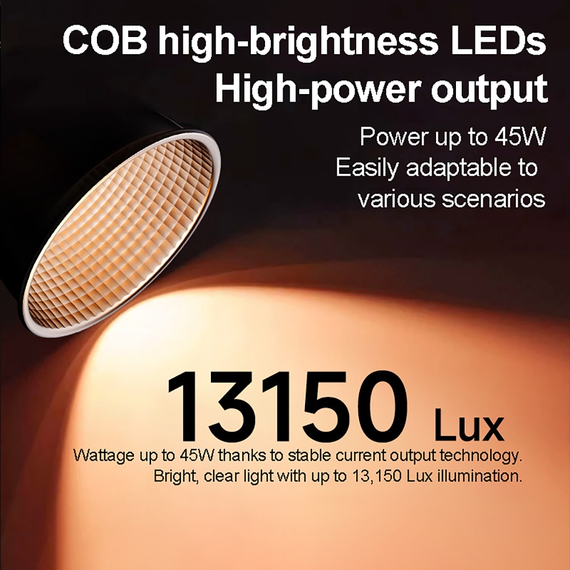 Luce Video RGB 60W Portatile L - Photography Natural Lighting recensione e prezzo