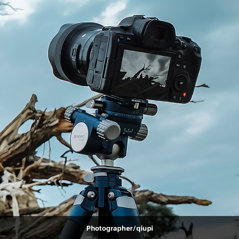 BENRO GD36PT Testa a Sfera Ori - Photography Landscape recensione e prezzo